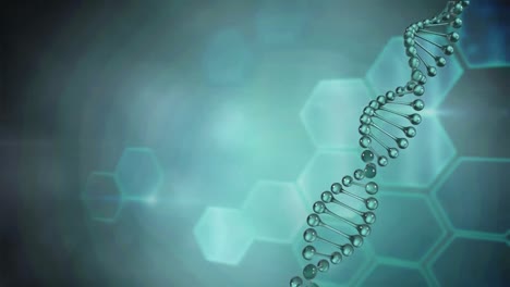Animation-of-dna-strand-spinning-over-network-of-hexagons-on-green-background