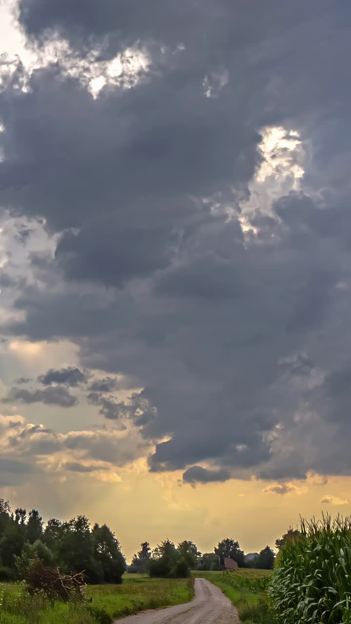 Timelapse vertikal dari awan badai besar yang membubung di atas pepohonan selama cahaya keemasan di malam hari