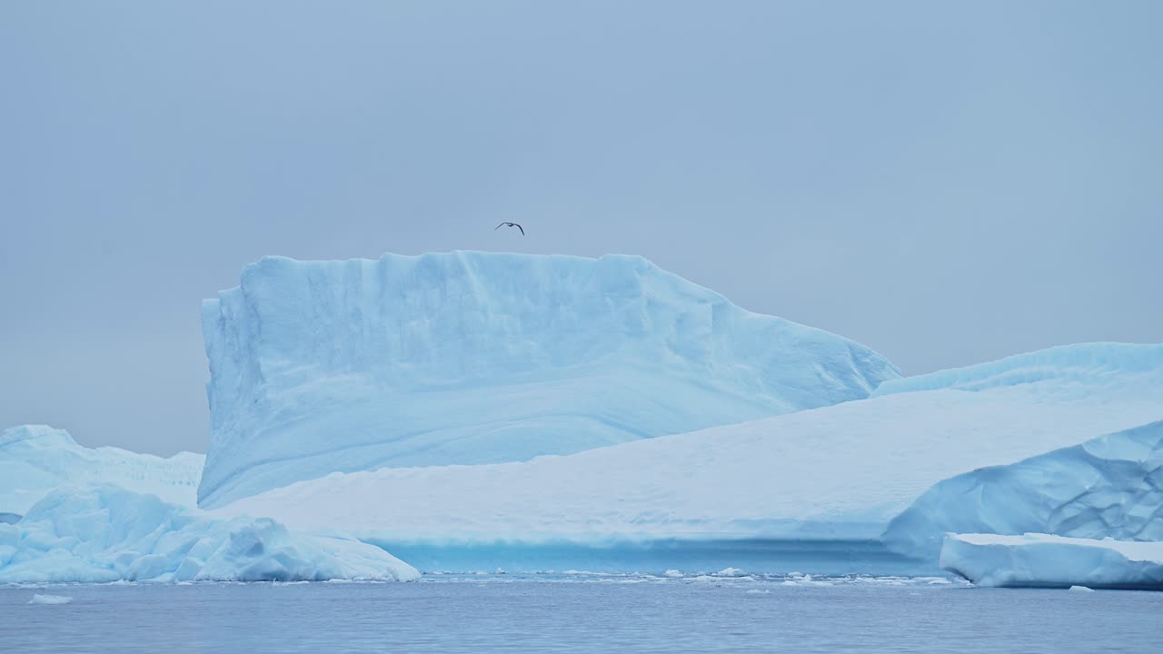 Stunning Icebergs in Antarctica