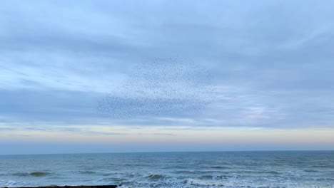 Grupo-De-Pájaros-Estorninos-Volando-En-Formación-Murmuración