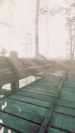 a wooden bridge in a foggy forest