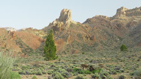 Tilt-up-over-barren-Tenerife-landscape-under-clear-blue-sky