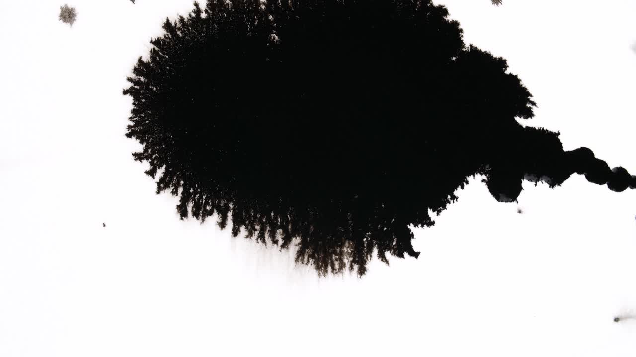 Black Ink Drops On White Background