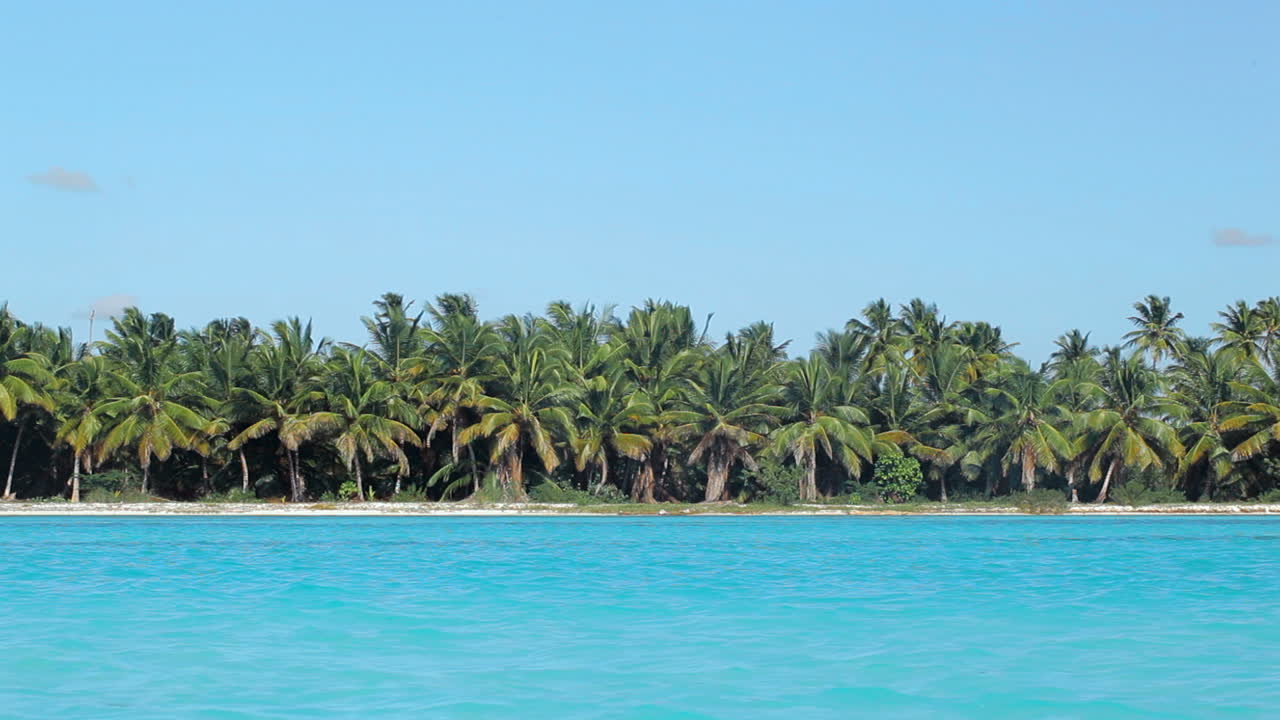 escena tropical con palmeras y mar azul