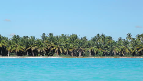 tropical scene with palms and blue sea