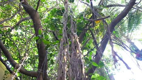 tree-decorated-with-plants-in-front-of-restaurent