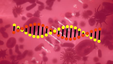 animación de una cadena de adn 3d giratoria, girando sobre las células, en círculo y fondo rosa