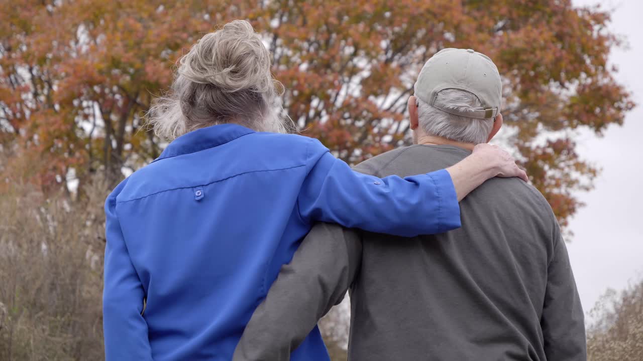 Elderly couple walking toward tree in the park holding hands