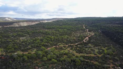 wide aerial drone shot of inland on the akamas peninsula of cyprus in paphos hiking trails visible through the trees