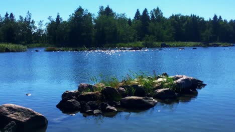 Paz-Y-Tranquilidad-Junto-Al-Lago,-Naturaleza-Tranquila-Y-Silenciosa-De-Finlandia,-Aire-Puro-Y-Agua-Pura