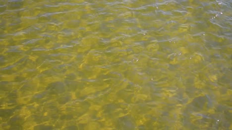 Vista-Superior-Del-Agua-De-La-Bahía-En-Tonos-Dorados-Con-Fondo-De-Ondas-De-Patrón-Iluminado-Por-El-Sol