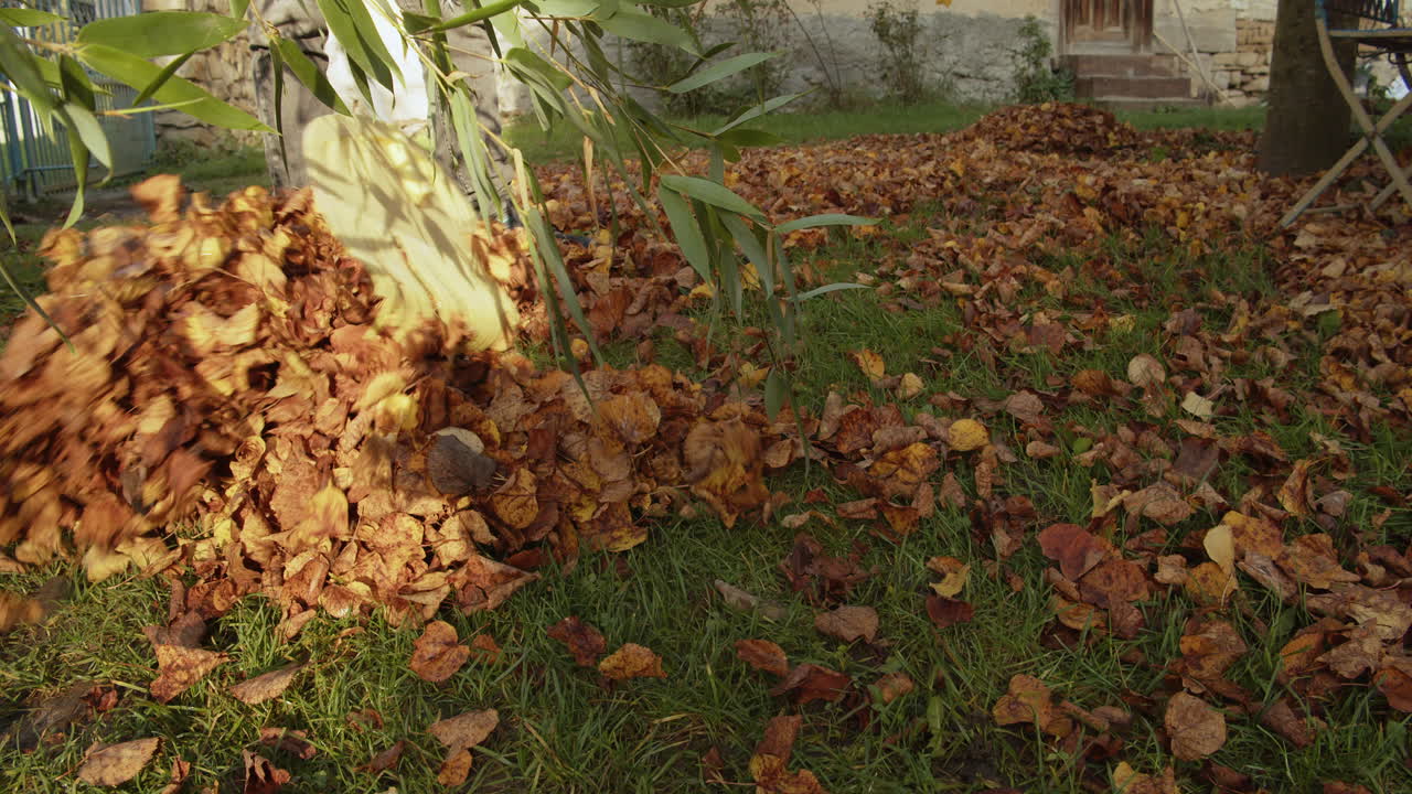 Autumn cleaning of the garden