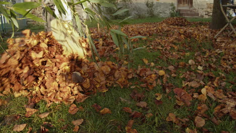 autumn cleaning of the garden
