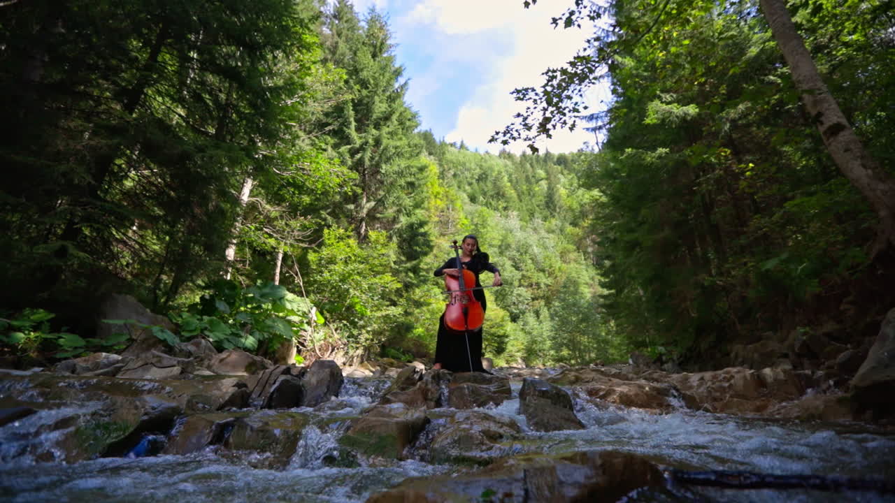 Pretty woman playing on a cello in nature. Huge cello in woman`s hands in the forest.