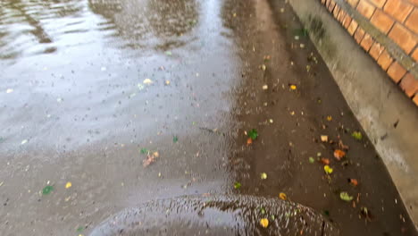 exploring flooded streets with swirling water and scattered leaves, showcasing the aftermath of recent rainfall