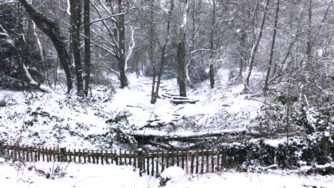 森林中的雪<unk>,在木<unk>圍<unk>前面有雪