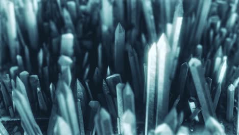 close-up of a cluster of crystals