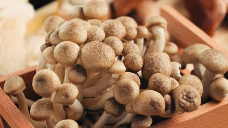 close-up of fresh brown mushrooms in a wooden box