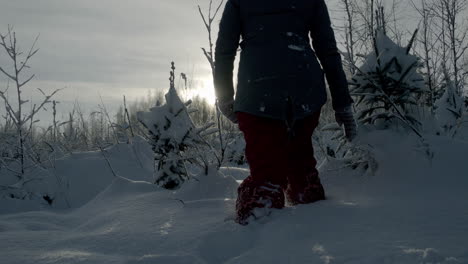 silhouette of female walking through deep forest snow landscape, back view