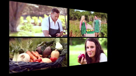 collage of organic food