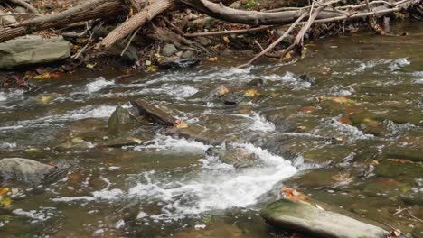 Water-streams-over-rocks-and-branches,-Wissahickon-Creek