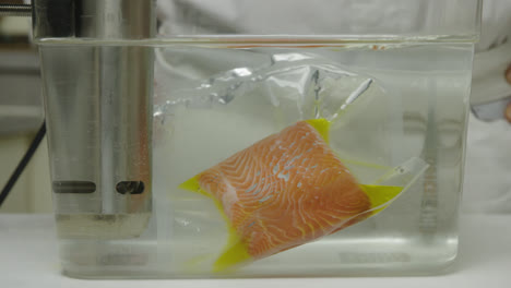 thawing frozen salmon fish meat in water