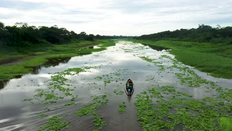 aerial flyover of boat on amazon river with picturesque peru jungle rainforest scenery