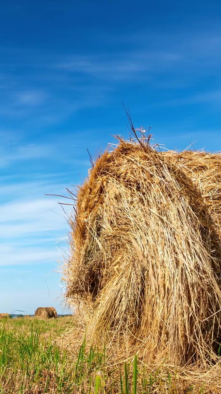 Gouden hooibaal in een groen veld onder een helderblauwe lucht