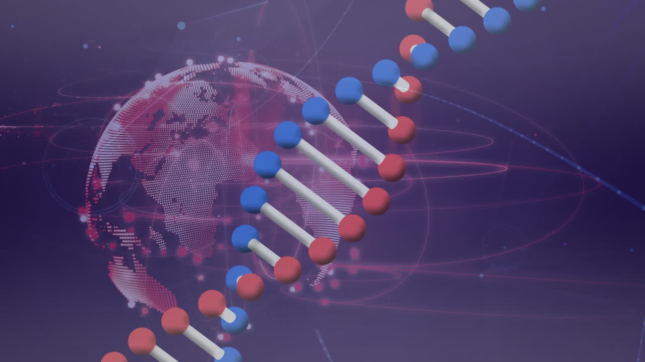 Animation af DNA-streng og globus med forbindelsesnetværk