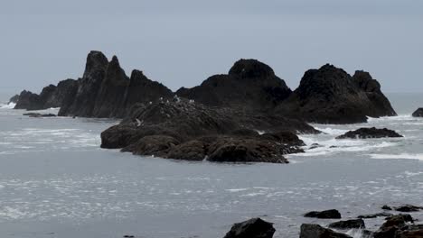 Seagulls-flying-around-islets-on-the-Pacific-Coast