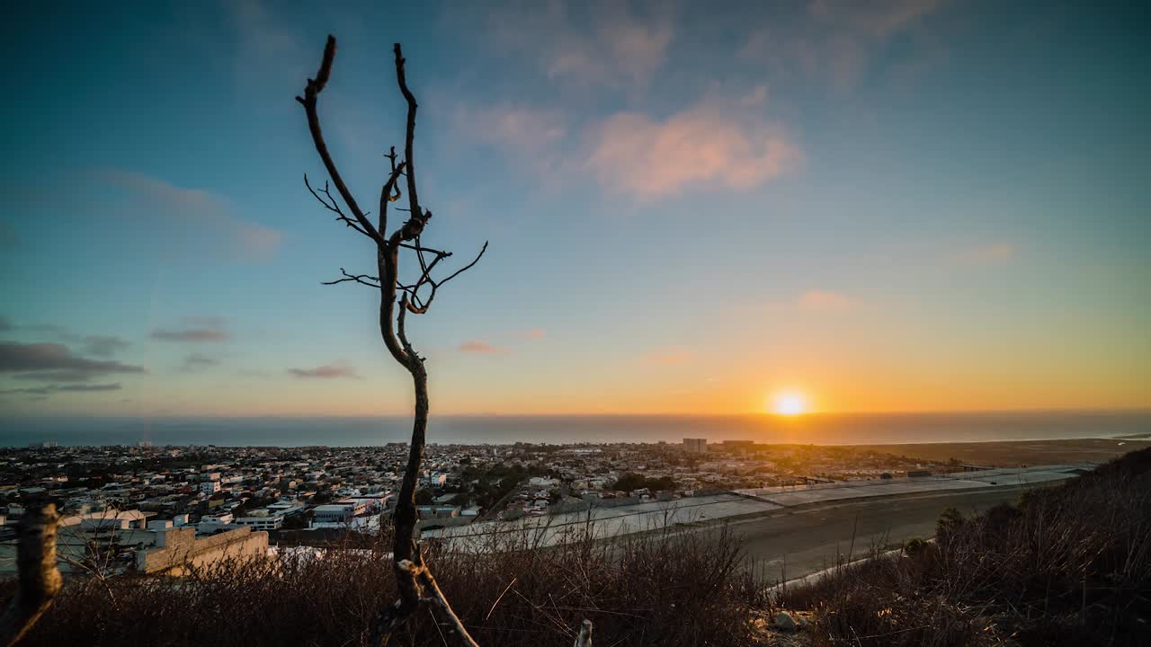 Time-lapse del tramonto su paesaggio urbano con albero in silhouette, atmosfera serena.