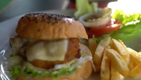 chicken burger with french fries on plate