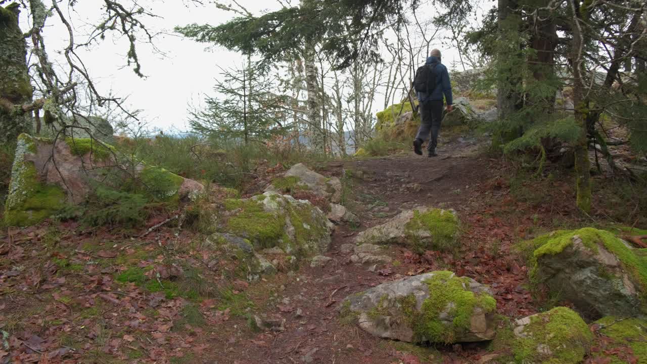 숲길 에서 산책 하는 사람