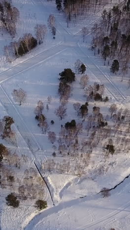 Vista aérea del bosque nevado