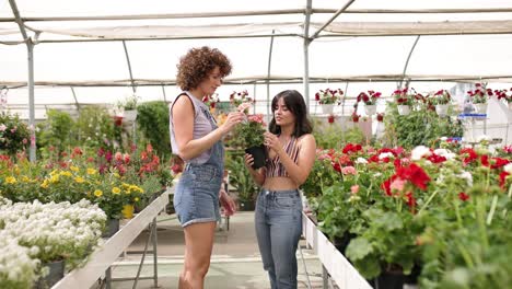 nursery worker showing flowers to customer