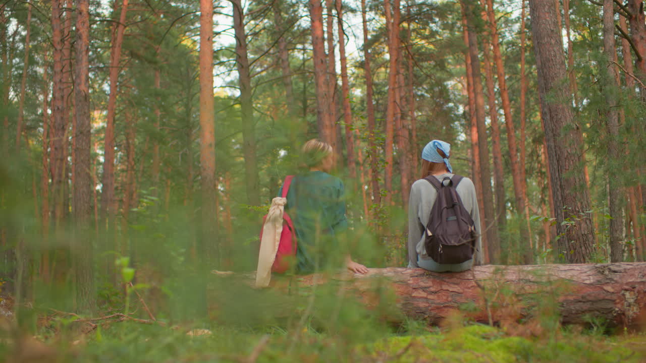 Two hikers with backpacks rest on fallen tree in lush forest, one wearing blue bandana and gray sweater, other in green shirt with red bag, they appear relaxed, surrounded by tall trees and greenery
