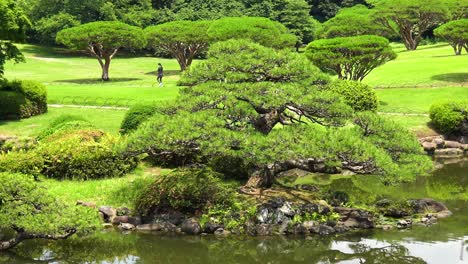 Der-Blick-Auf-Den-See-Mit-Baumreflexion-Im-Nationalgarten-Shinjuku-Gyoen