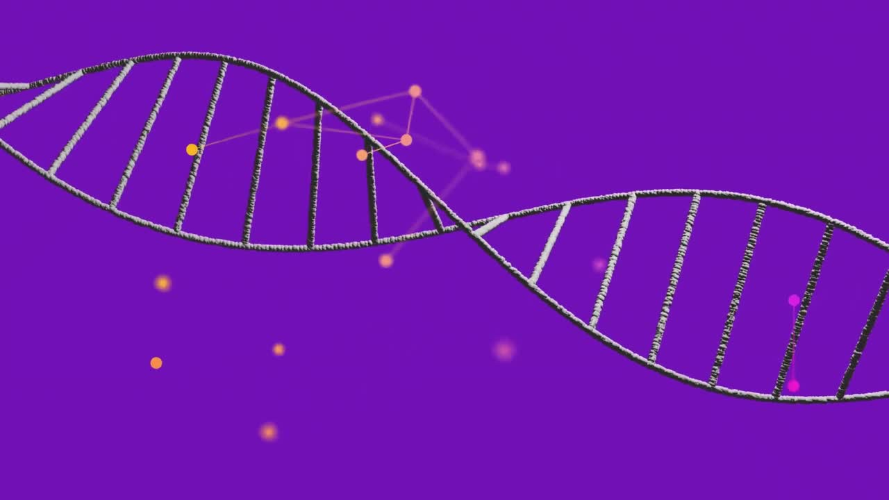 animación de la red de conexiones sobre la cadena de adn