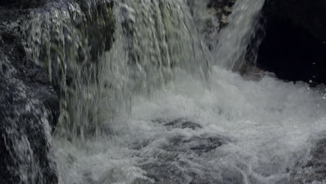 slow motion shot of falling waterfall down the mountains in mossy forest,tilt up shot