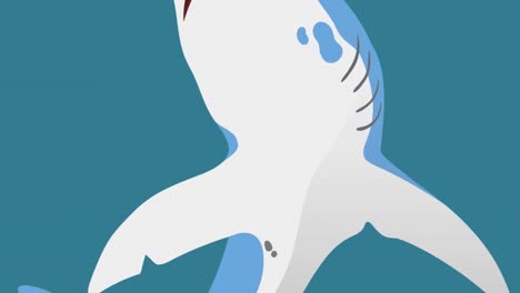 animación de tiburón azul y blanco sobre fondo azul