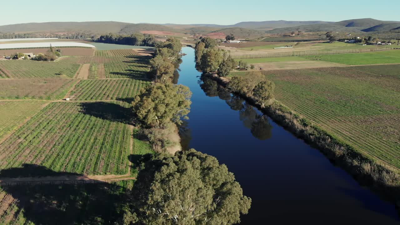 Drone che vola sopra un fiume calmo e immobile circondato da un paesaggio di vigneti verdi in una giornata di sole