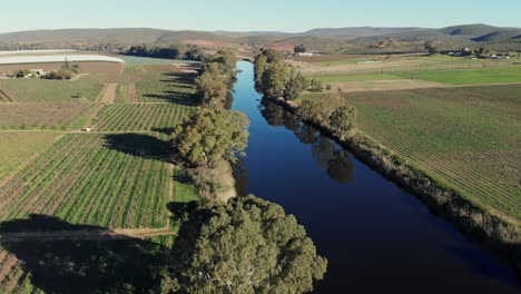 drone flying over calm and still river surrounded by a landscape of green vineyards on a sunny day