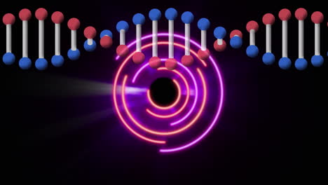 animation of dna helix over multicolored moving circles and lens glare against black background