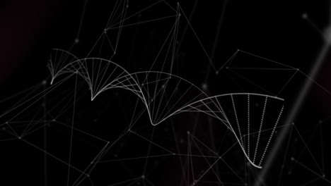 animación digital de la estructura del adn girando contra la red de conexiones en fondo negro