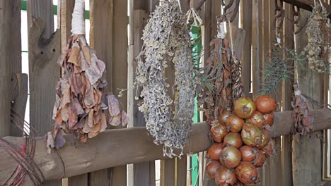 Cebollas---Plantas-Secas-Colgadas-En-La-Pared-De-Madera-En-El-Cobertizo-De-La-Granja---Toma-Panorámica