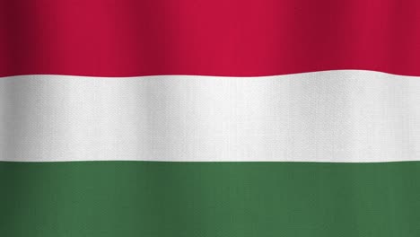 seamless looping animation of grunge hungarian national waving flag with fabric texture