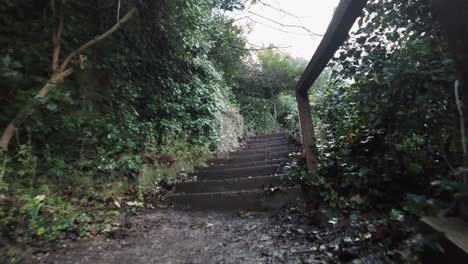 Walking-Wet-Muddy-Steps-Gimbal-Shot