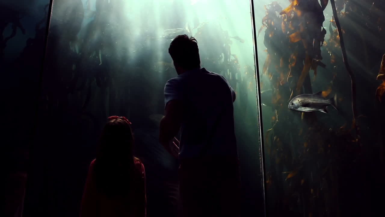 padre e hija mirando el tanque de peces y tomando fotos