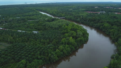 Vista-De-Drones-De-Los-Campos-De-Palma-Aceitera-Y-El-Río-En-Pahang,-Malasia