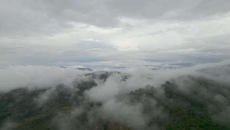 dolly inn con drone sobre el bosque en colombia en un día de niebla